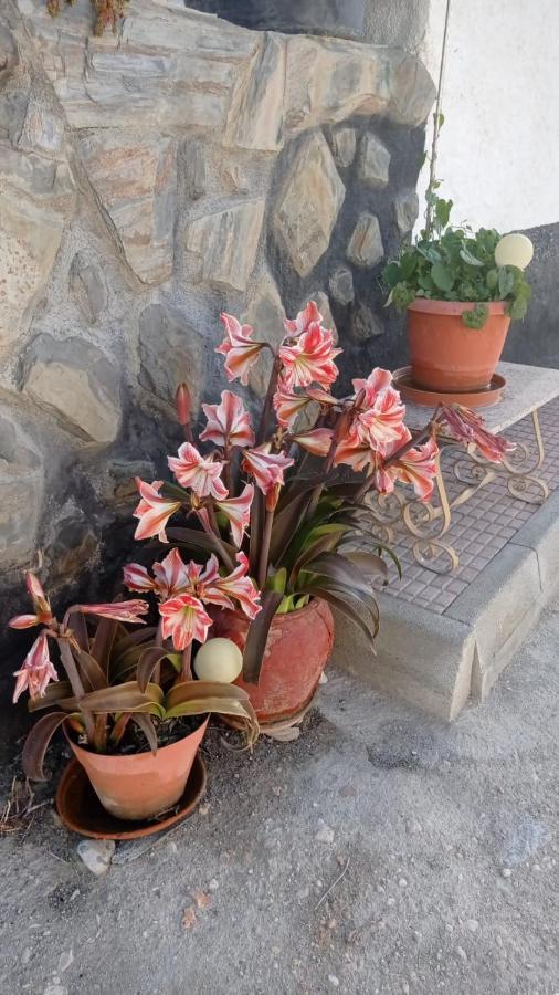 Los Carriones Cueva De La Abuela 빌라 외부 사진